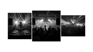 oameni danseaza la concert